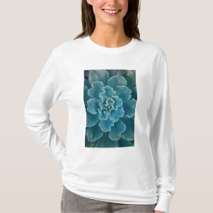 San Francisco Kaliforniens Golden Gate Park och T Shirt