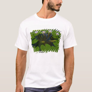 San Francisco Kaliforniens Golden Gate Park och Tee Shirt