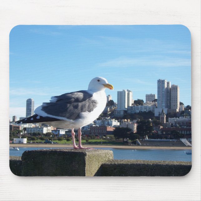 san Francisco. Musmatta (Framsidan)