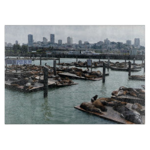 San Francisco och Pier 39 Sea Lejon City Skyline