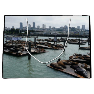 San Francisco och Pier 39 Sea Lejon City Skyline