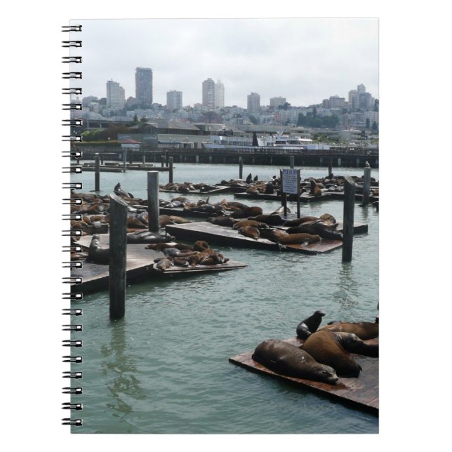 San Francisco och Pier 39 Sea Lejon City Skyline Anteckningsbok Med Spiral (Framsidan)