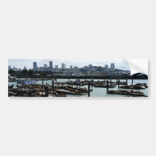 San Francisco och Pier 39 Sea Lejon City Skyline Bildekal