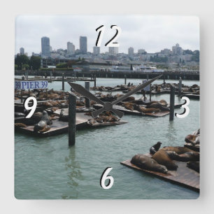 San Francisco och Pier 39 Sea Lejon City Skyline Fyrkantig Klocka