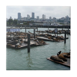 San Francisco och Pier 39 Sea Lejon City Skyline Kakelplatta