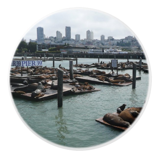 San Francisco och Pier 39 Sea Lejon City Skyline Knopp (Framsidan)