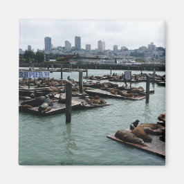San Francisco och Pier 39 Sea Lejon City Skyline Magnet
