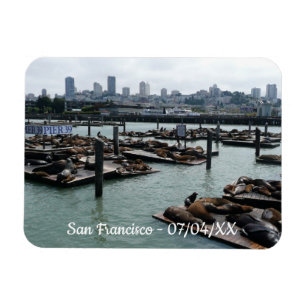 San Francisco och Pier 39 Sea Lejon City Skyline Magnet