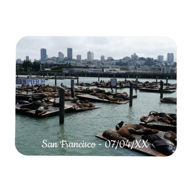 San Francisco och Pier 39 Sea Lejon City Skyline Magnet (Horisontell)