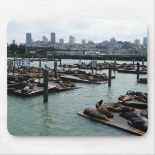San Francisco och Pier 39 Sea Lejon City Skyline Musmatta
