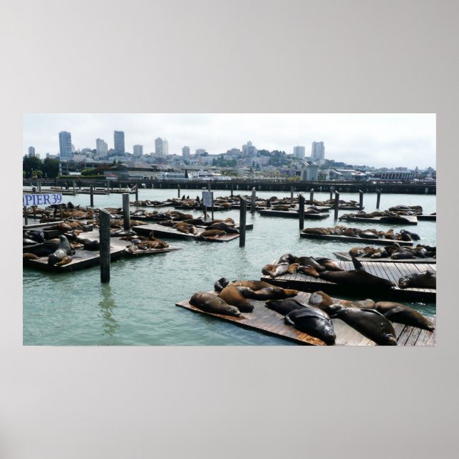 San Francisco och Pier 39 Sea Lejon City Skyline Poster (Framsidan)
