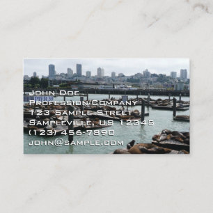 San Francisco och Pier 39 Sea Lejon City Skyline Visitkort