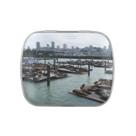 San Francisco och Pier 39 Sjölejon Stadssilhuett Godisburkar