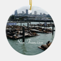 San Francisco och Pier 39 Sjölejon Stadssilhuett