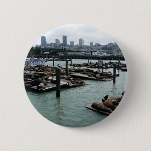 San Francisco och Pier 39 Sjölejon Stadssilhuett Knapp