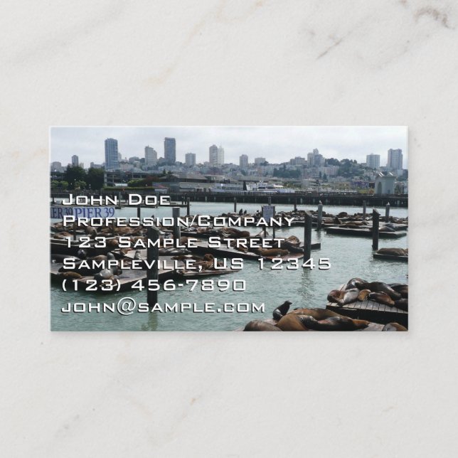 San Francisco och Pier 39 Sjölejon Stadssilhuett Visitkort (Framsida)