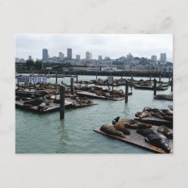 San Francisco och Pier 39 Sjölejon Stadssilhuett Vykort