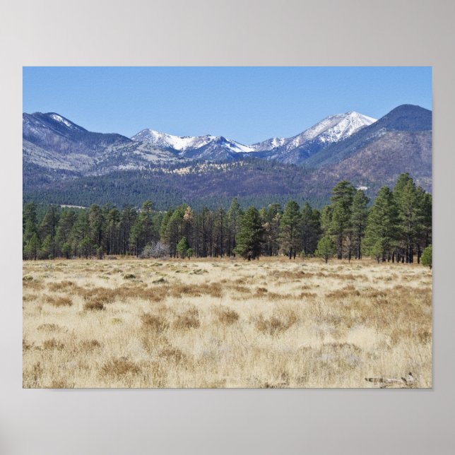 San Francisco Peaks - Flagstaff, Arizona poster (Framsidan)