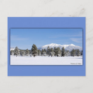 San Francisco Peaks i Snö Vykort