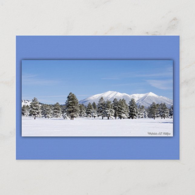 San Francisco Peaks i Snö Vykort (Framsida)