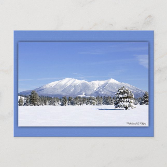 San Francisco Peaks i Snö Vykort (Framsida)