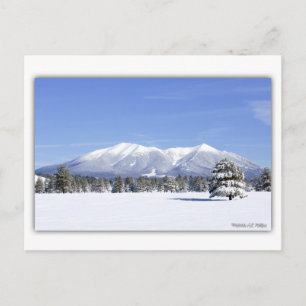 San Francisco Peaks i snö Vykort