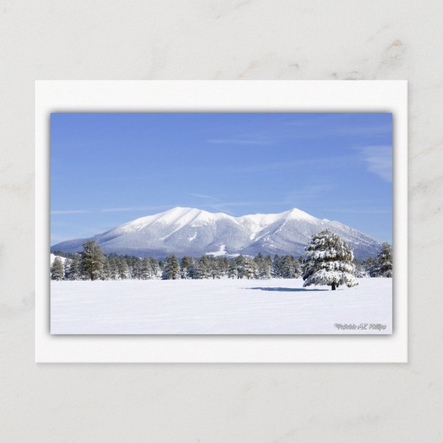 San Francisco Peaks i snö Vykort (Framsida)