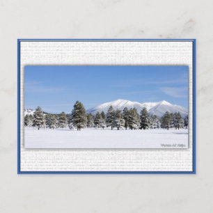 San Francisco Peaks i Snö Vykort