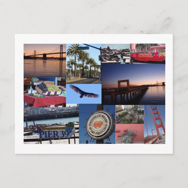 San Francisco Photo Collage Vykort (Framsida)