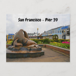 San Francisco Pier 39 #13 vykort