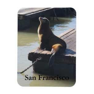 San Francisco Pier 39 Sea Lejon #2 Magnet
