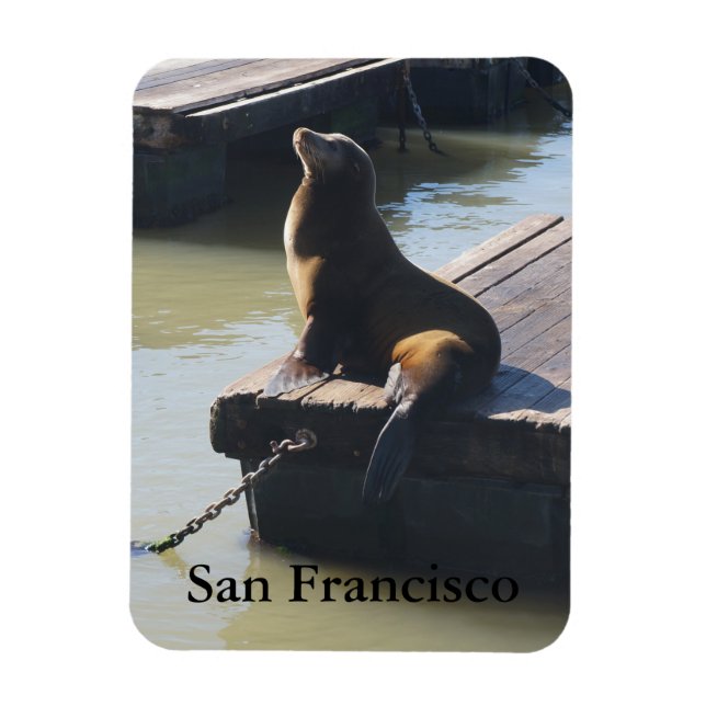 San Francisco Pier 39 Sea Lejon #2 Magnet (Vertikal)