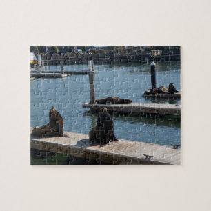 San Francisco Pier 39 Sea Lejon #3 Jigszawa Puzzle Pussel