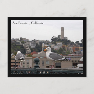 San Francisco Postcard Vykort