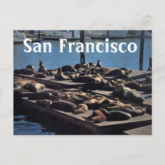 San Francisco Postcard Vykort