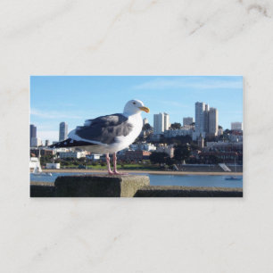san francisco-vy visitkort