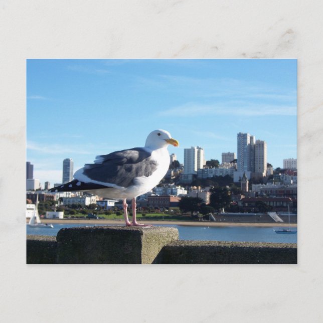 san Francisco. Vykort (Framsida)