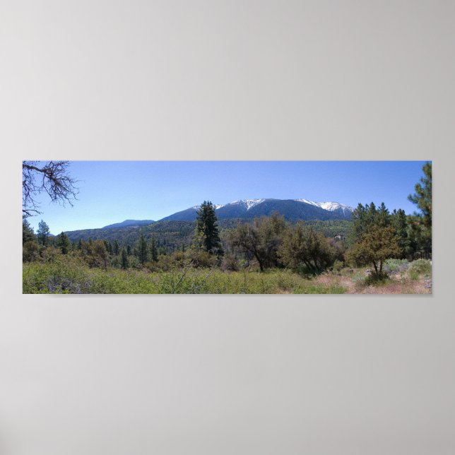 San Gorgonio Wilderness Poster (Framsidan)