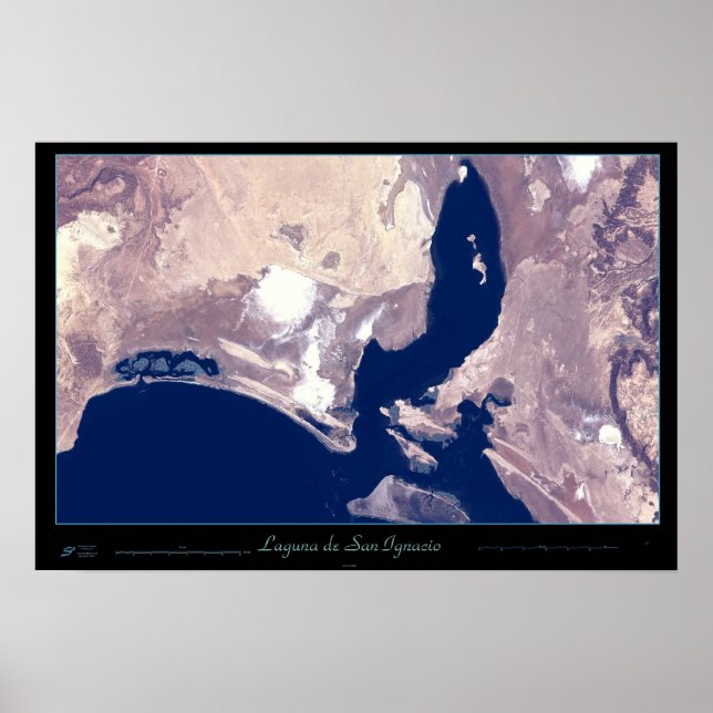 San Ignacio Lagoon, Baja CA Sur, Mexiko poster (Framsidan)