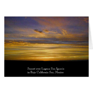 San Ignacio lagunsolnedgång Hälsningskort