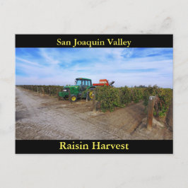 San Joaquin Valley Raisin Harvest Vykort