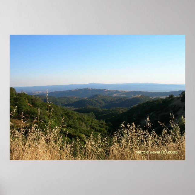 San Jose Foothills torrgräs Poster (Framsidan)