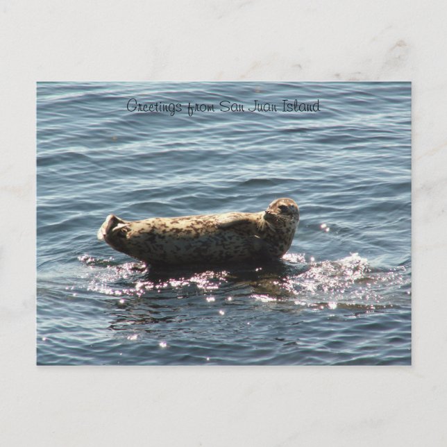 San Juan Island hälsning Vykort (Framsida)