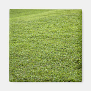 San Juan, Puerto Rico - Grönt gräs är Magnet
