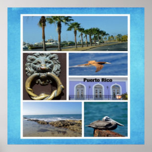 San Juan Scenia Photo Collage Poster