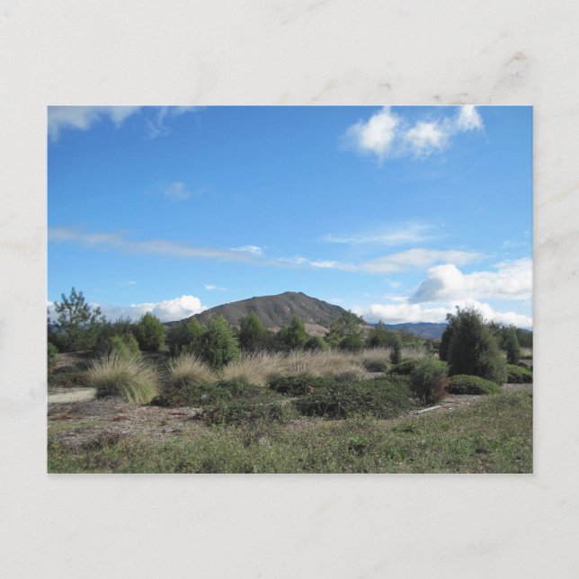 San Luis Obispo Backe på Los Osos Road Vykort (Framsida)