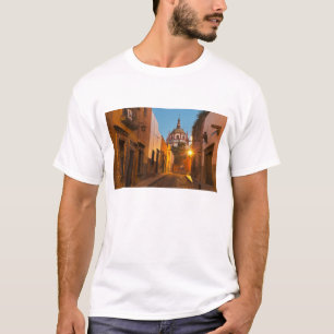 San Miguel de Allende, Mexiko. Kredit: Nancy T-shirt