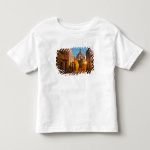 San Miguel de Allende, Mexiko. Kredit: Nancy Tee Shirt