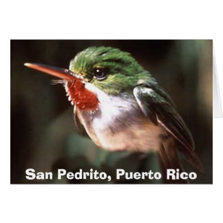 San Pedrito, San Pedrito, Puerto Rico Hälsningskort