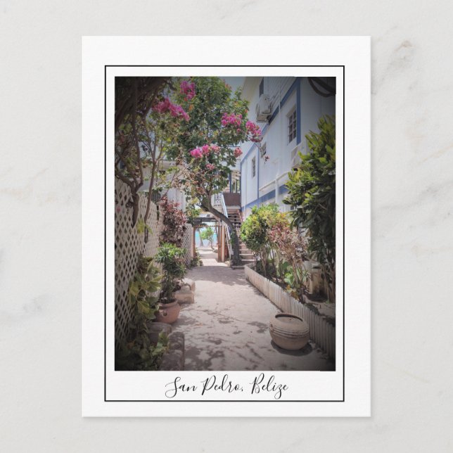 San Pedro Ambergris Caye Belize vykort (Framsida)